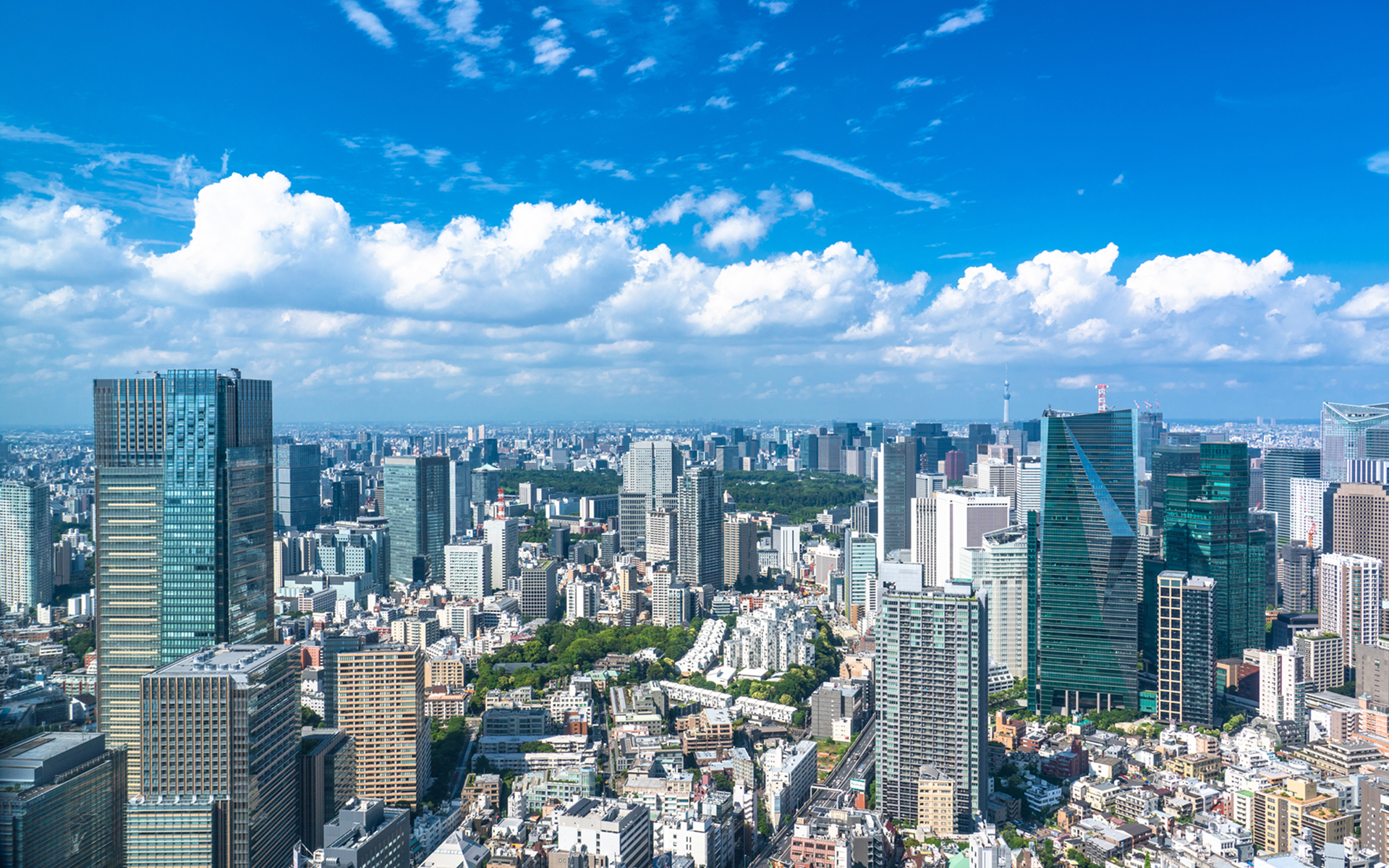 有限会社 山友管理