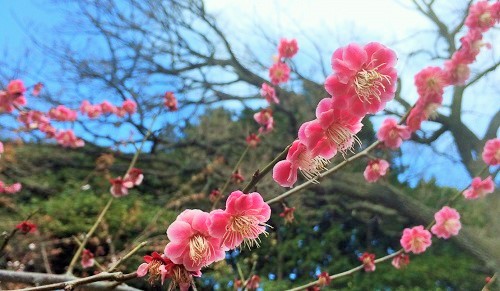 新型コロナウイルス感染拡大における弊社の対応について