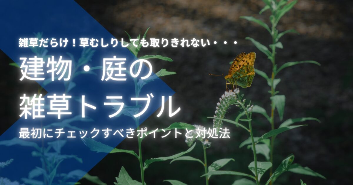 ドクダミの駆除方法|地下茎まで枯らして再発を防ぐ