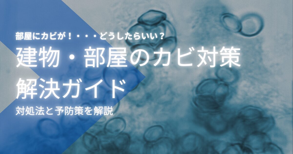 部屋をカビさせないためにどうしたらいい？ 予防と対策も徹底解説